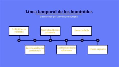 Iván Peral Linea temporal de los hominidos