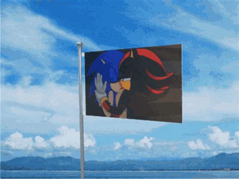 Sonic Shadow Sonic Shadow Gay Descubrir Y Compartir Gifs