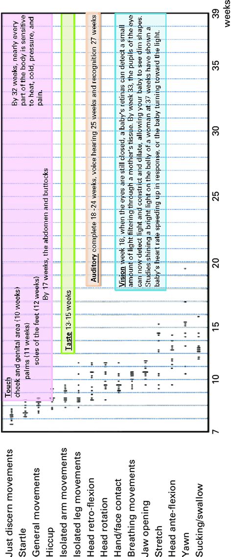 2 Emergence of fetal movements and the senses. Source: Adapted from ... 