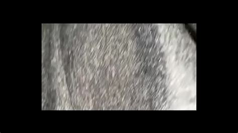 Mwaka Halwindi Zambia Search XVIDEOS