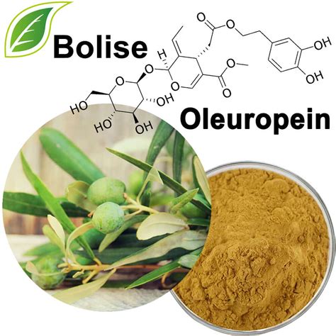 Oleuropein 10%~80% from Olive Leaf Extract Suppliers,Manufacturers