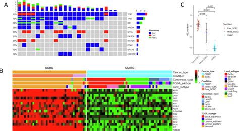 Identification Of Lineage Specific Transcriptional Factordefined