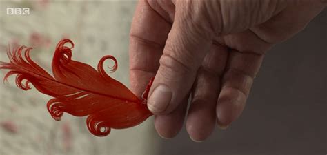 The Crimson Feather Fatherbrown Wiki Fandom