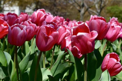Baltimore School of Music - Music Lessons in Baltimore, Maryland