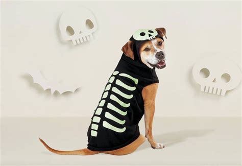 Best Dog Halloween Costumes At Target 2022 Popsugar Pets