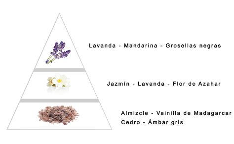 Female Perfumes of Equivalence for Less than 25 euros