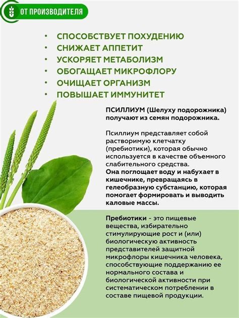 Клетчатка с псиллиумом купить - · Цена в интернет-магазине Клетчатки