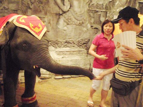 Yummy Chrispytine Still The Land Of Smiles Sex