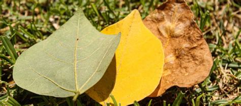 Living Through The Different Stages Of Life Ages Balance Wealth Planning