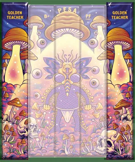 Golden Teacher Spore Syringe Psilocybe Cubensis Spores
