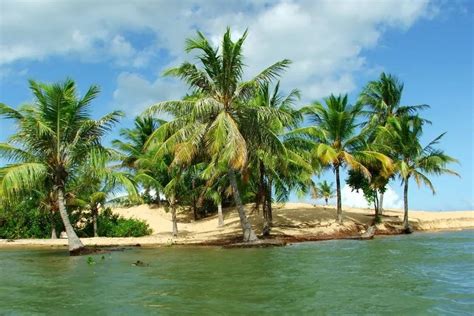 São Francisco River Excursion from Aracaju - Civitatis.com