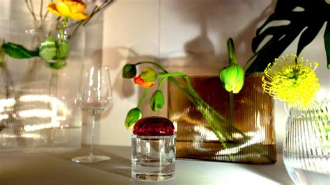 Nude Debuts Glassware Collections In Hidden Garden Installation By