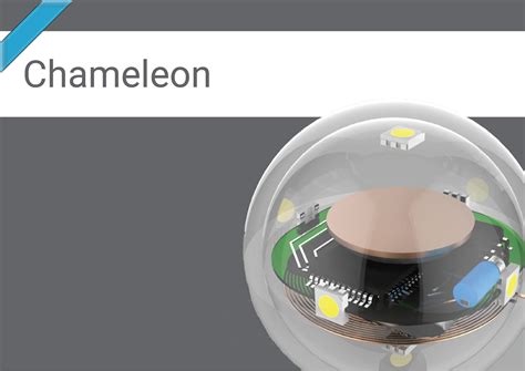 Chameleon on Behance