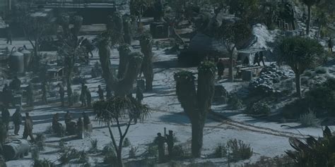 told youill give   coat     beall