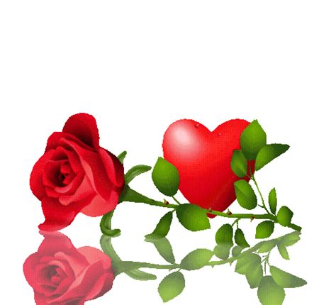 Rose Flower Love - Free GIF on Pixabay
