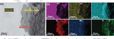 Figure 14 From Corrosion Of Steel Alloys In Eutectic Naclna2co3 At 700