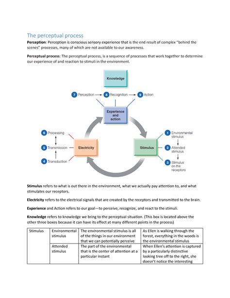 The Perceptual Process The Perceptual Process Perception Perception