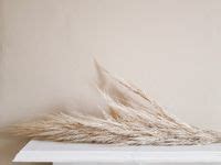 ideeën over Nude inspiration instagram ideeën wallpaper achtergronden vintage achtergronden