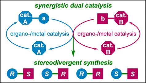 Synergistic Dual Catalysis In Stereodivergent Synthesis Acs Catalysis