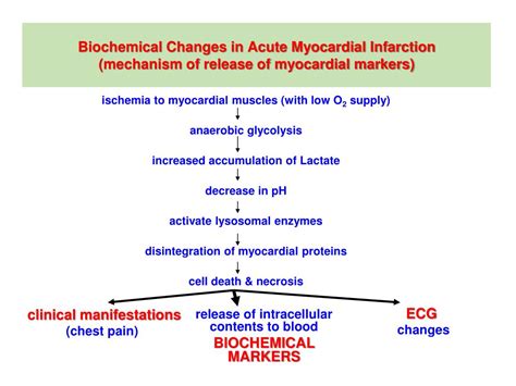 Ppt Biochemical Markers For Diagnosis Of Myocardial Infarction