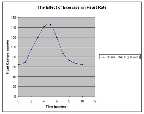 cardiovascular disease  fitness exploring  rhythm
