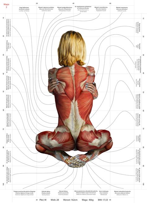 Anatomical Maps on Behance