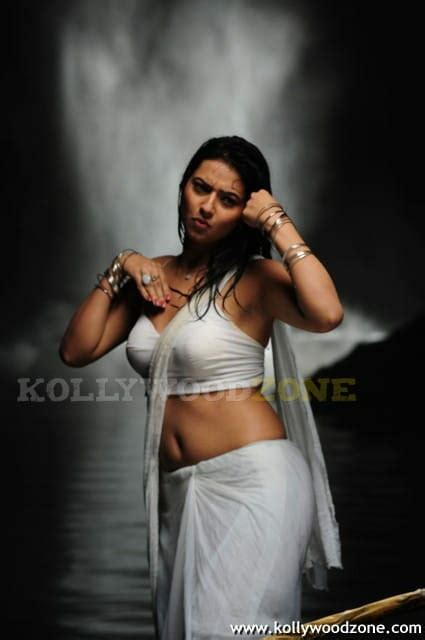 Hot Pictures Of Actress Isha Chawla Kollywood Zone