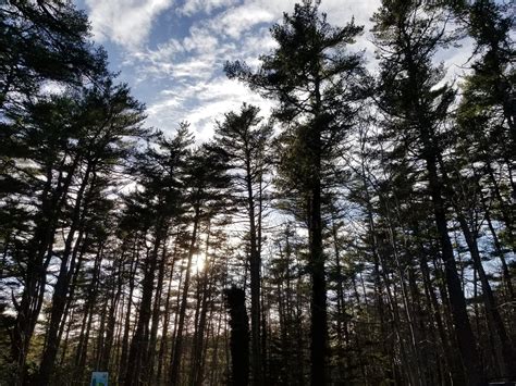 Haum Studios | Liverpool NS