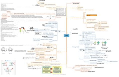 Mappe Di Citologia Ed Istologia Schemi E Mappe Concettuali Di