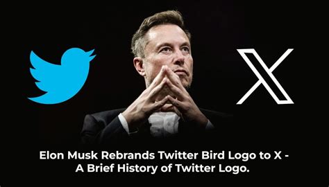 Elon Musk Rebrands Twitter Bird Logo To X A Brief History Of Twitter