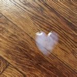 Beau Nemall S Porn Videos Pornhub