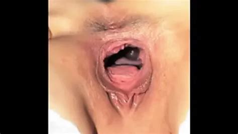 Learn Porn Videos XHamster