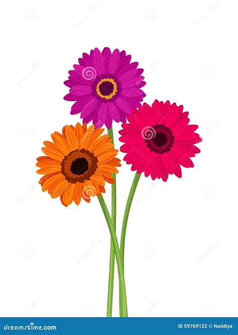 orange blossom flower 5