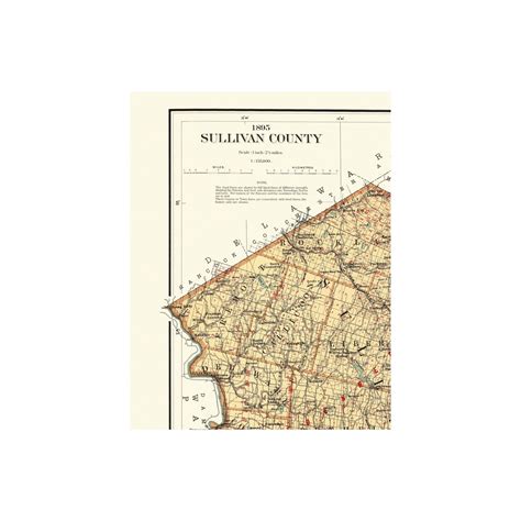 Historic County Map - Sullivan County New York - Bien 1895 - Vintage W