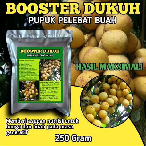 Jual Pupuk Booster Pelebat Buah Dukuh Nutrisi Untuk Bunga Dan Buah Anti