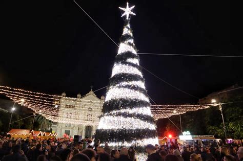 La Magia Del Natale A Reggio Acceso L Albero In Piazza Duomo Foto