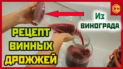 ВИННЫЕ ДРОЖЖИ. Как сделать винные дрожжи из винограда. - YouTube