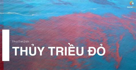 thuy trieu la gi hinh thanh nhu  nao manh nhat khi nao