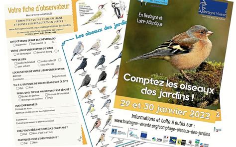 En Pays Bigouden Des Ateliers Dinitiation Au Comptage Des Oiseaux Des