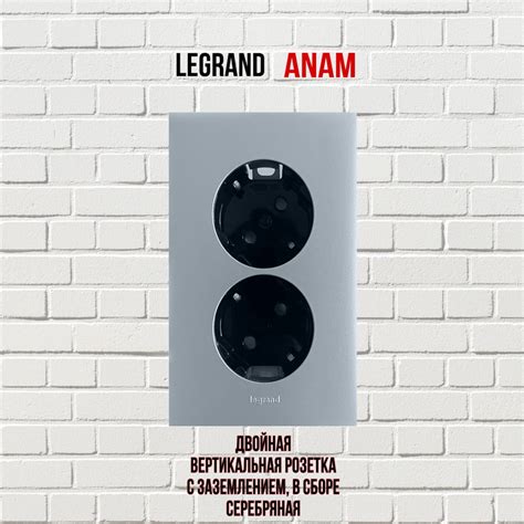 Розетка двойная Legrand Anam с заземлением вертикальная (45 градусов) в ...