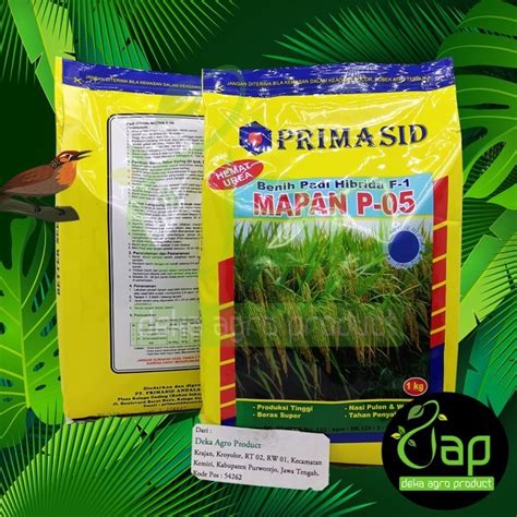 Jual New Benih Bibit Padi Hibrida Mapan P O Kg Hibrida F Shopee