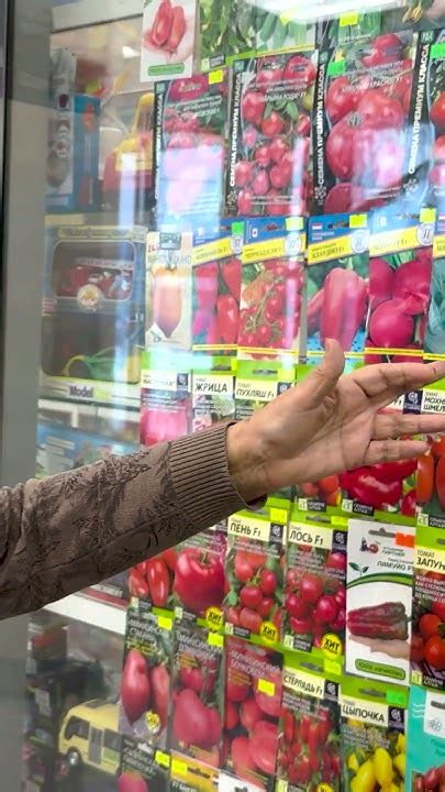 Голландская линия "Мегатон" Капуста и редис семена на 2024 год - YouTube