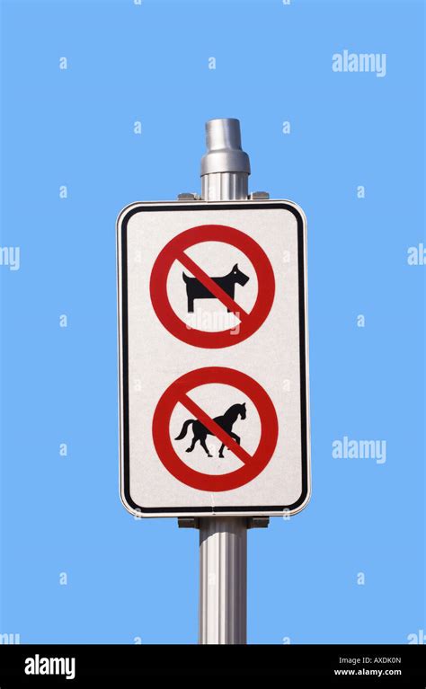 A signal about pets and horses Stock Photo - Alamy