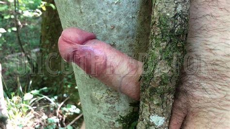 Tree Fuck Nude Pics Xhamster