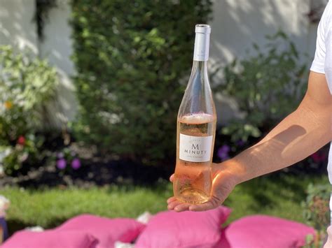 The Perfect Romantic Rosé Wine Picnic - Craft and Sparkle