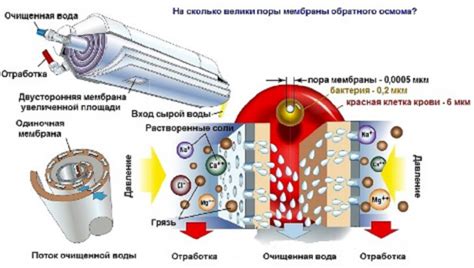 Обратный осмос: фильтр, вода, система, своими руками