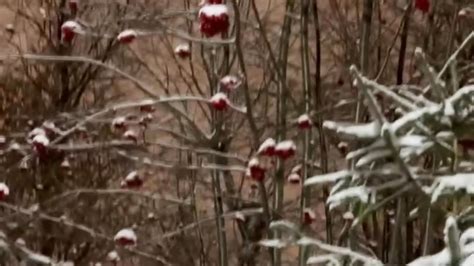 B Bonya M S Nude Videos Recorded Shows Stickam