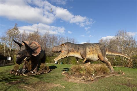 'Cannot wait to book' fans cry as Dublin Zoo unveils brand new 'jaw