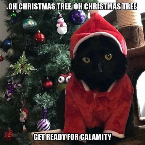Grumpy Cat Christmas Tree