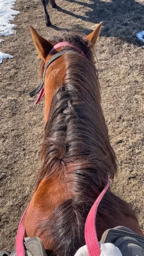 Спокойствие. Перезагрузка. Свобода Именно так ощущается момент, когда ...